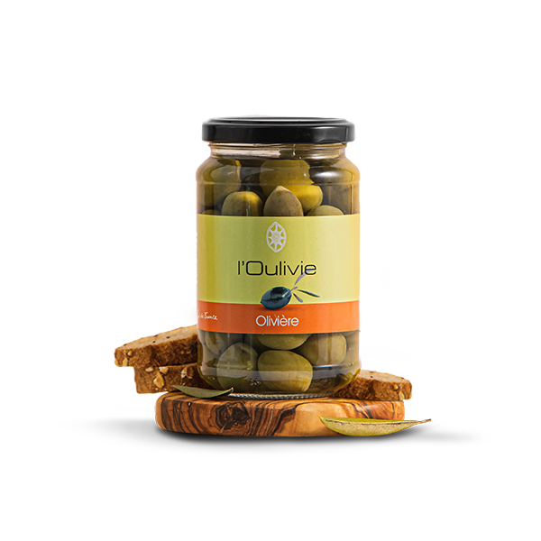 Olives Olivière vertes du Domaine L'Oulivie. Variété typique des Pyrénées-Orientales, cultivée dans l’Aude et L’Hérault. Olives fruitées.