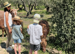Visite guidée en famille sur le sentier de Bebelle, notre petit poney.