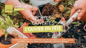 Participez à notre journée portes-ouvertes l’Olivier en fête, samedi 4 avril de 10h à 18h au Domaine de l’Oulivie. Animations et dégustations pour Petits et Grands. Sur réservation au 04 67 67 07 80.