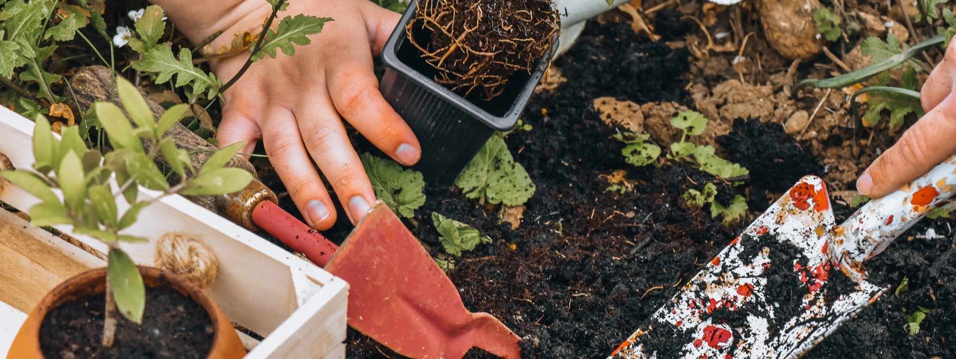 Portes-Ouvertes : L'Olivier en Fête !