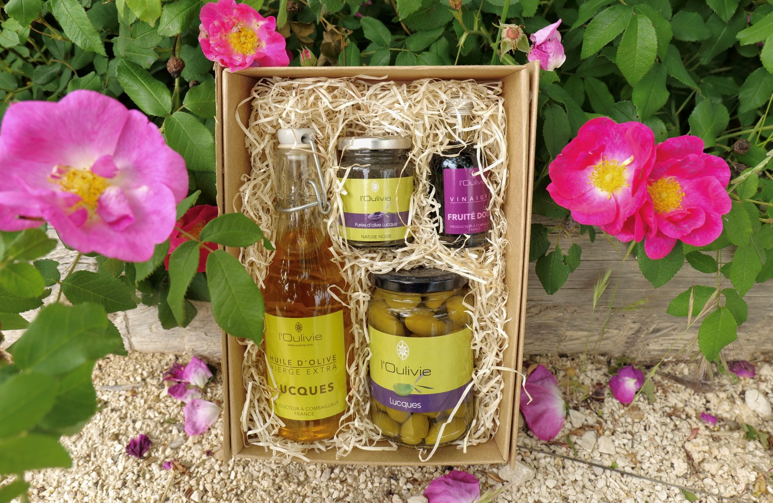 Coffret Lucques