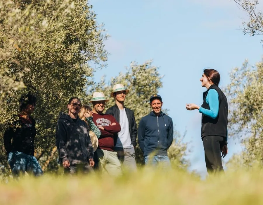 Questions réponses sur les visites guidées de l'Oulivie