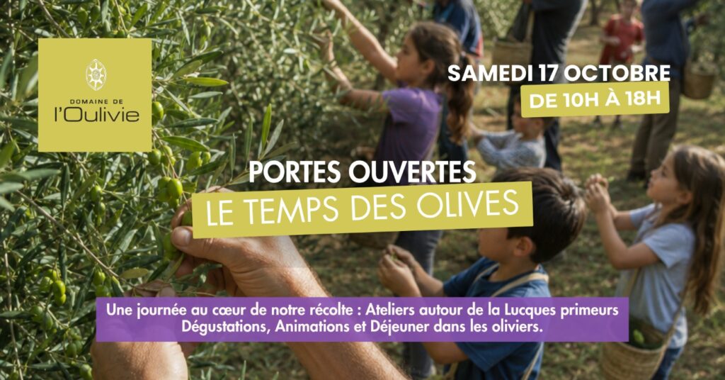 Participez à notre journée portes ouvertes le Temps des olives, samedi 17 octobre de 10h à 18h au Domaine de l'Oulivie. Ateliers et déjeuner sur réservation.